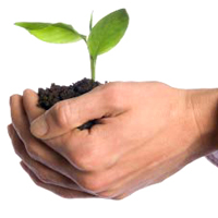 Hospice Growth